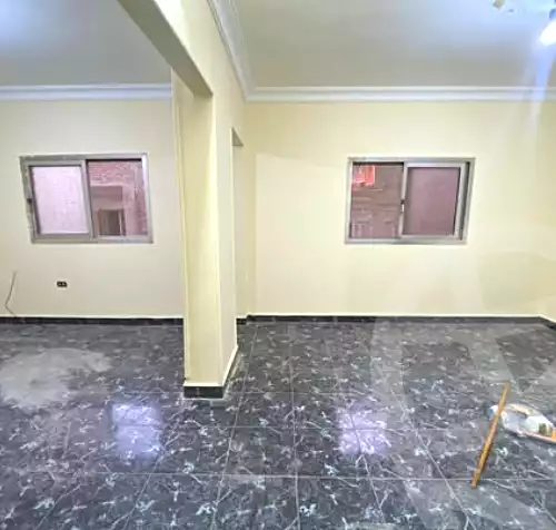 https://aqarmap.com.eg/en/listing/6890622-for-rent-cairo-faisal