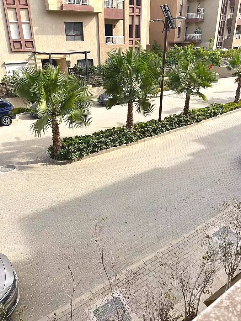 شقة بـ٣ غرف نوم في جرين ٥، صورة ١٣ من ١٥