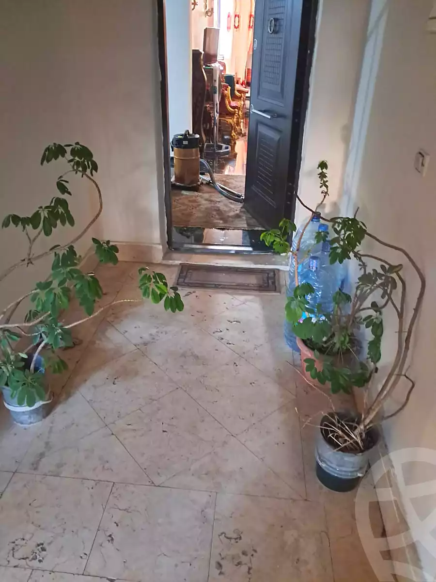 بنتهاوس بـ٤ غرف نوم في حي الاشجار، صورة ١٠ من ١٤