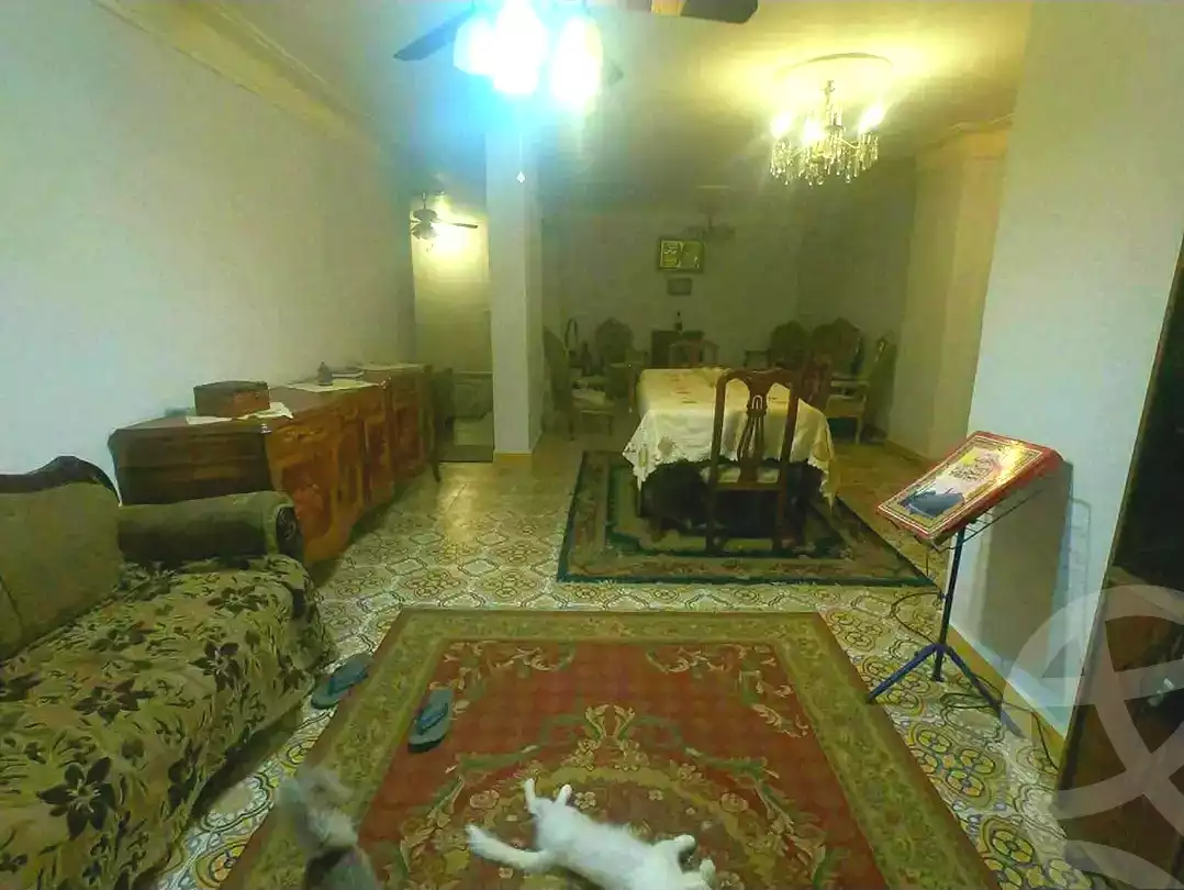 https://aqarmap.com.eg/en/listing/6900537-for-sale-alexandria-al-agamy-lbytsh-el-hay-st
