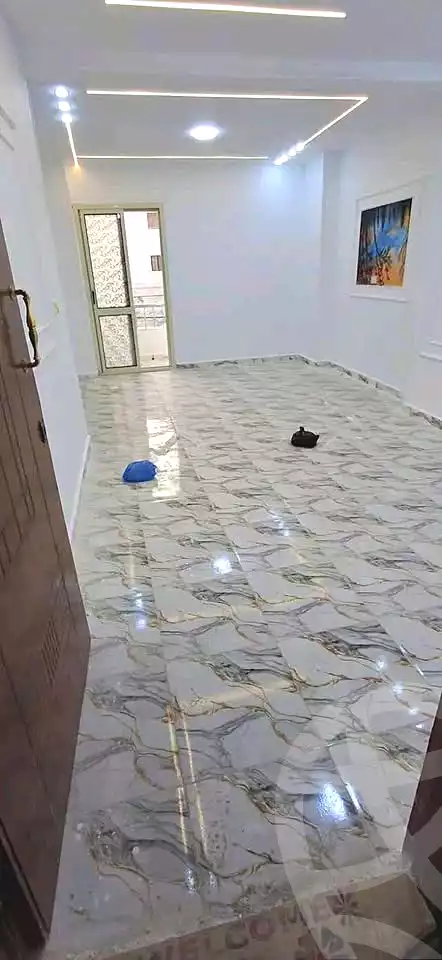 https://aqarmap.com.eg/en/listing/6900701-for-sale-alexandria-al-agamy-lbytsh-ibrahim-othman-st