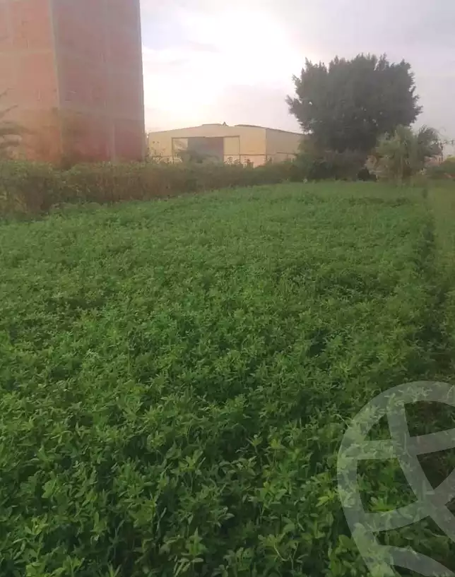 https://aqarmap.com.eg/ar/listing/6903269-for-sale-cairo-kirdasah-saft-el-laban