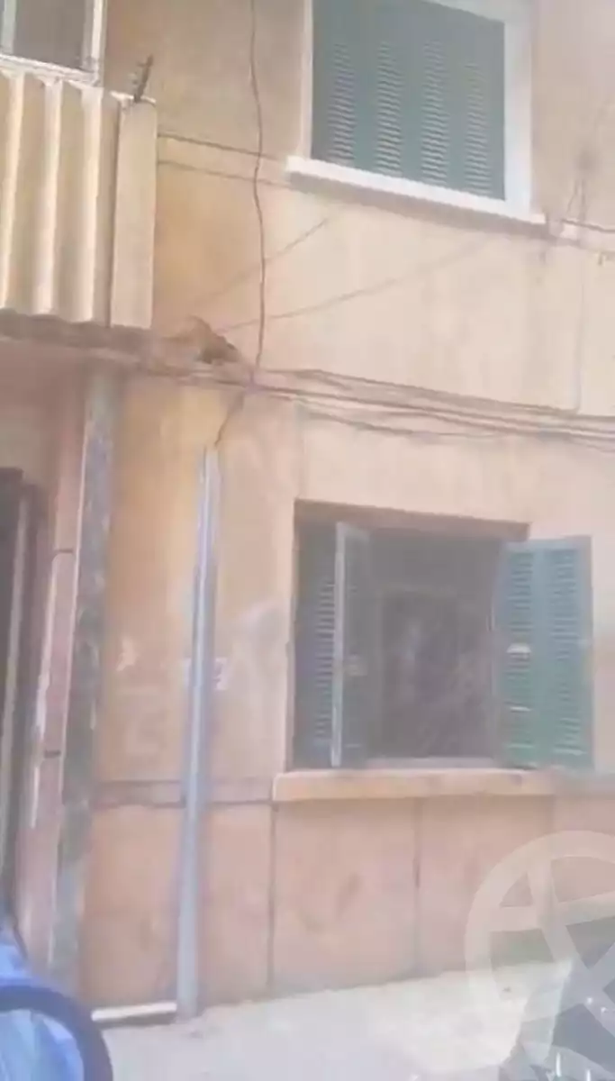 https://aqarmap.com.eg/en/listing/6905021-for-sale-alexandria-ibrahimia-sohag-st