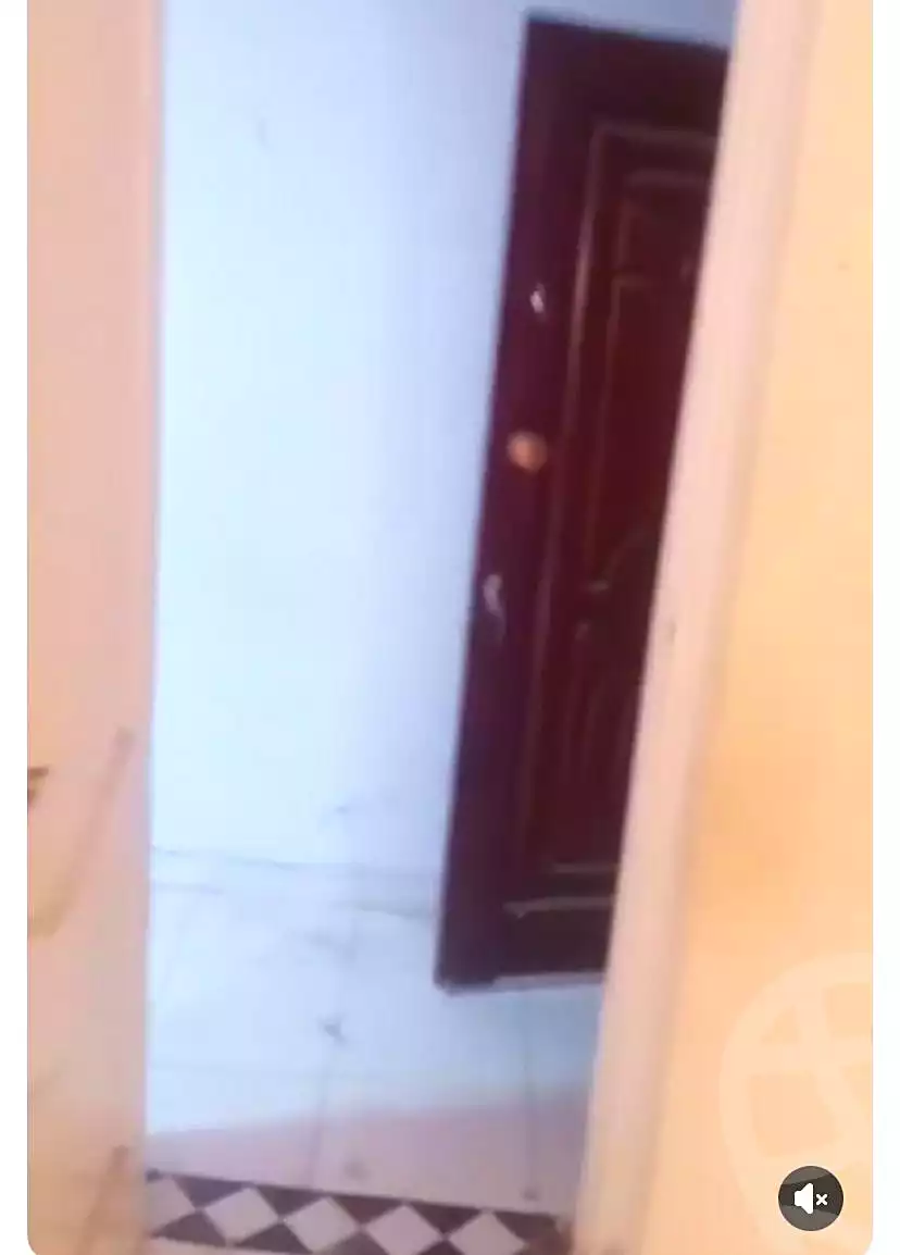 https://aqarmap.com.eg/en/listing/6905117-for-rent-alexandria-bw-qyr-toson-st