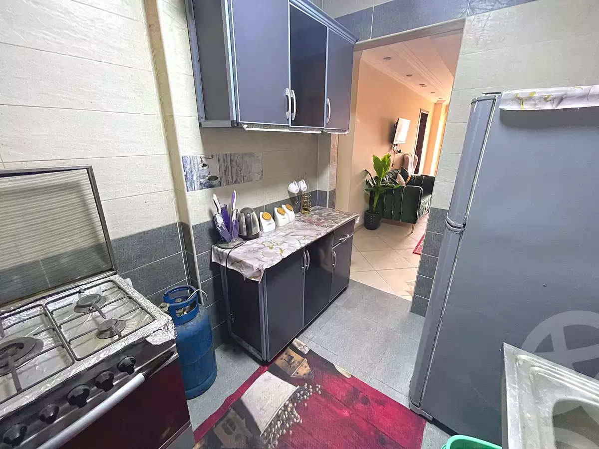 https://aqarmap.com.eg/ar/listing/6906417-for-rent-cairo-manial-kwrnysh-lmnyl