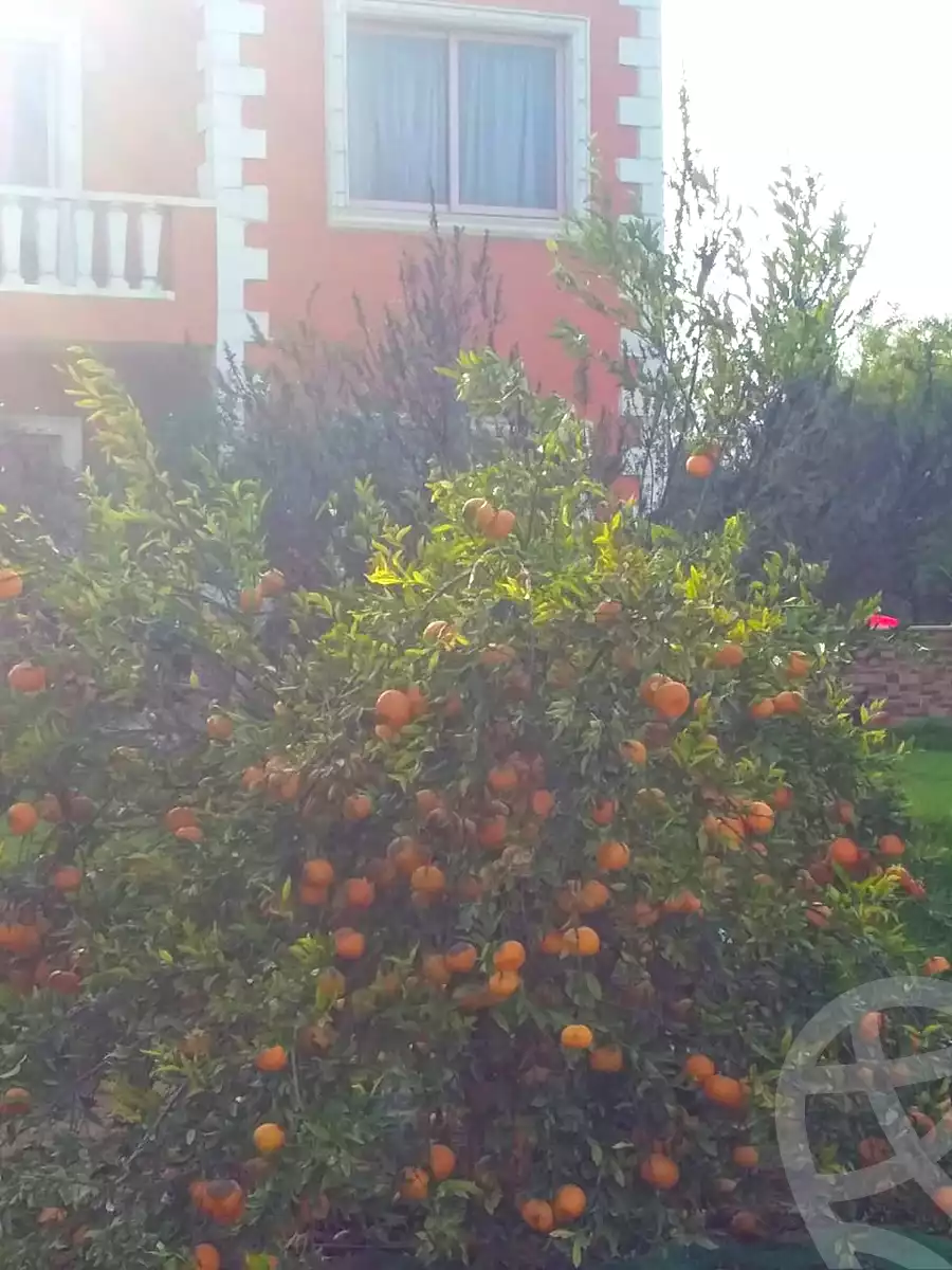 فيلا بـ٣ غرف نوم في مزارع ستيلا دي ماري، صورة ٨ من ١٥