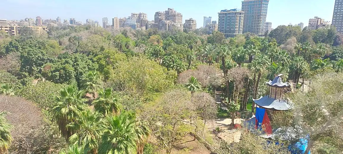 https://aqarmap.com.eg/en/listing/6921254-for-sale-cairo-ljyz