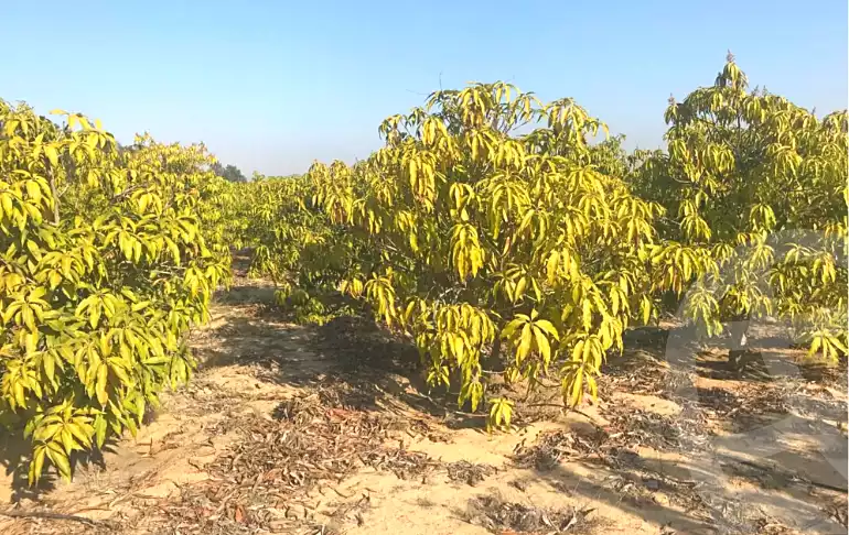 https://aqarmap.com.eg/ar/listing/6921662-for-sale-ismailia-ismailia-city-kanat-al-sweis-st