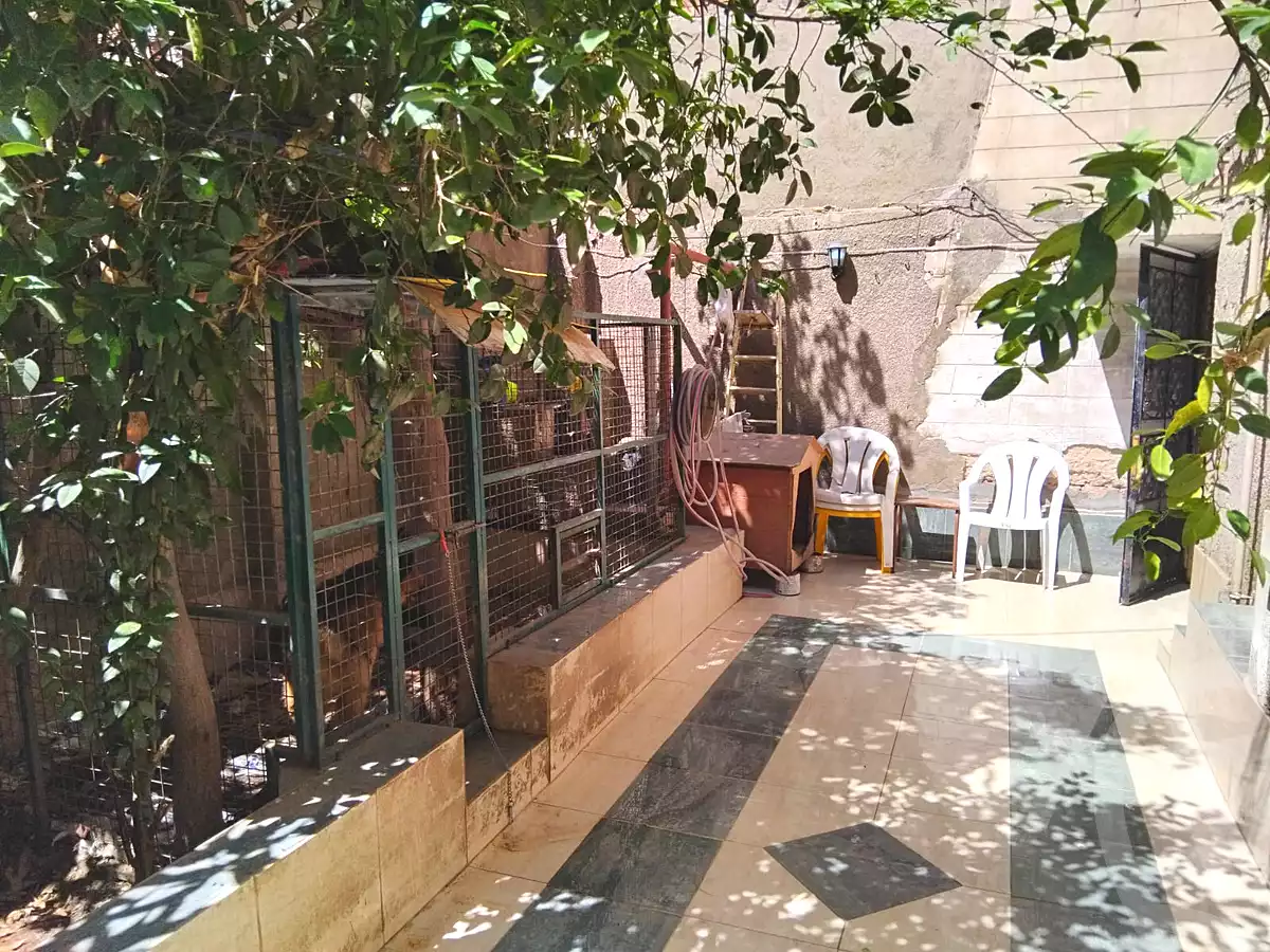https://aqarmap.com.eg/en/listing/6925219-for-sale-cairo-ain-shams-alf-maskn-ismail-el-fangari-st