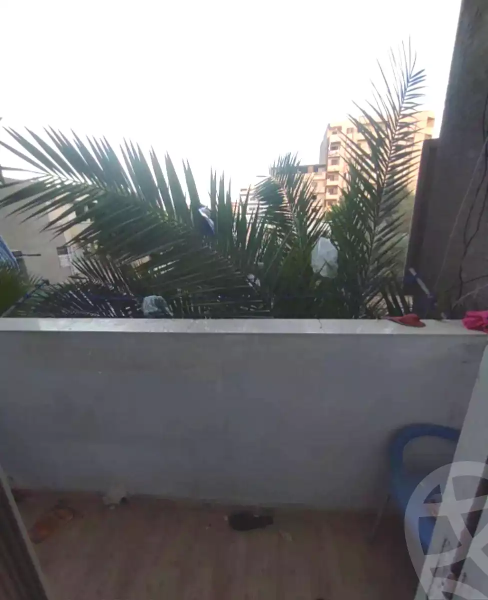 https://aqarmap.com.eg/en/listing/6925243-for-sale-alexandria-al-agamy-lbytsh