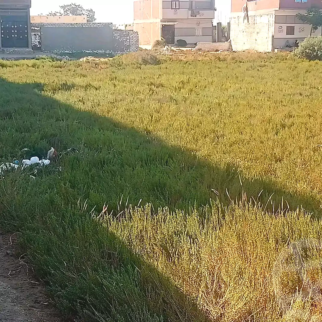 https://aqarmap.com.eg/en/listing/6926417-for-sale-alexandria-bys