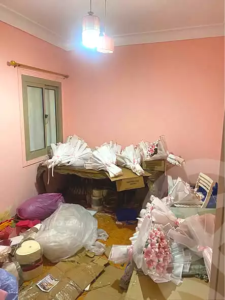 https://aqarmap.com.eg/ar/listing/6934011-for-rent-alexandria-ganaklis