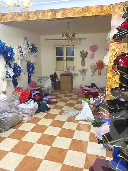 https://aqarmap.com.eg/ar/listing/6934011-for-rent-alexandria-ganaklis