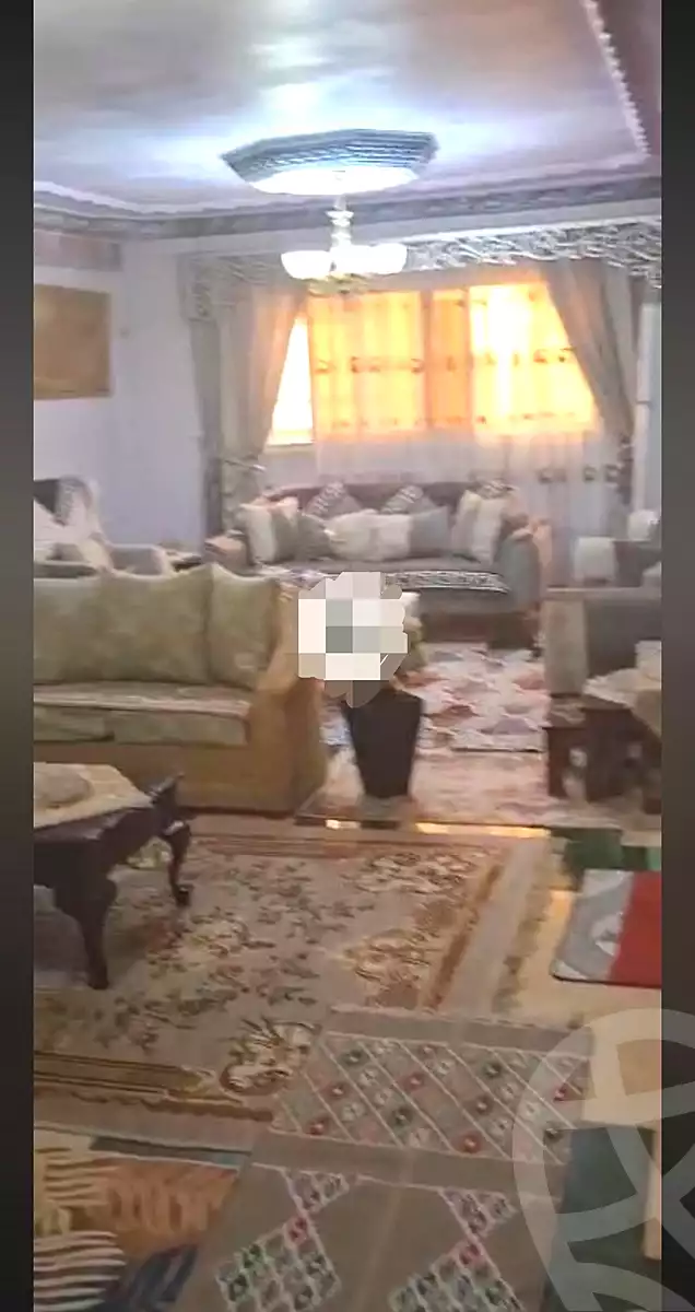 https://aqarmap.com.eg/en/listing/6937577-for-sale-cairo-faisal-hassan-mohamed-st