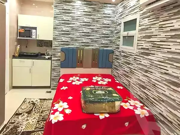 https://aqarmap.com.eg/en/listing/6937276-for-rent-cairo-nasr-city-abbas-el-akkad