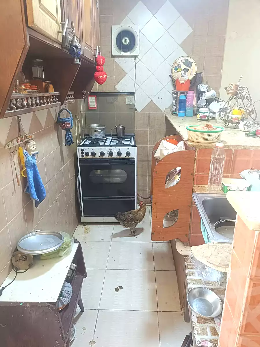 https://aqarmap.com.eg/en/listing/6942711-for-sale-cairo-ain-shams-el-naam