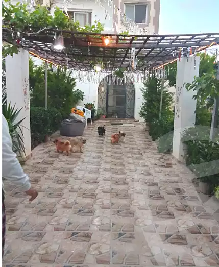 https://aqarmap.com.eg/ar/listing/6942755-for-sale-alexandria-king-maryot