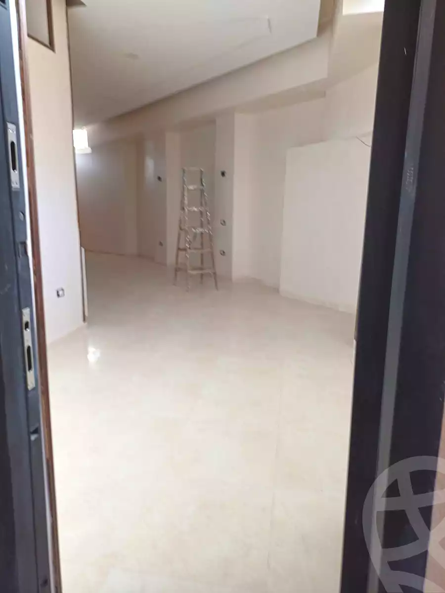 https://aqarmap.com.eg/en/listing/6943840-for-rent-cairo-new-cairo-el-diplomaseen