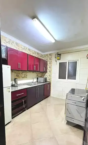 https://aqarmap.com.eg/ar/listing/6947124-for-rent-cairo-manial