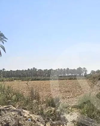 https://aqarmap.com.eg/ar/listing/6949397-for-sale-alexandria-cairo-alexandria-desert-road
