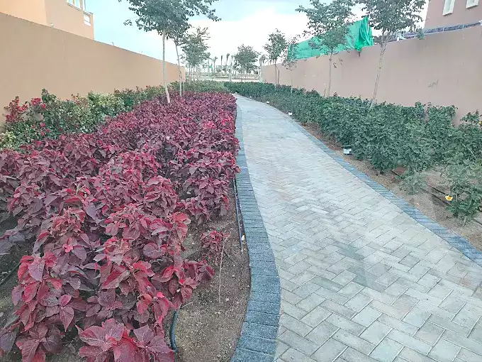 دوبلكس بـ٣ غرف نوم في هايد بارك، صورة ٨ من ٨