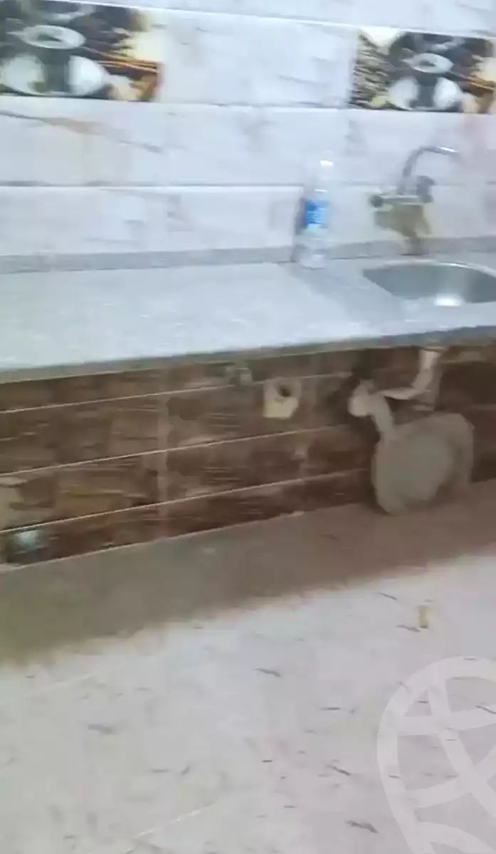 https://aqarmap.com.eg/ar/listing/6953608-for-sale-alexandria-el-asafra-shr-45