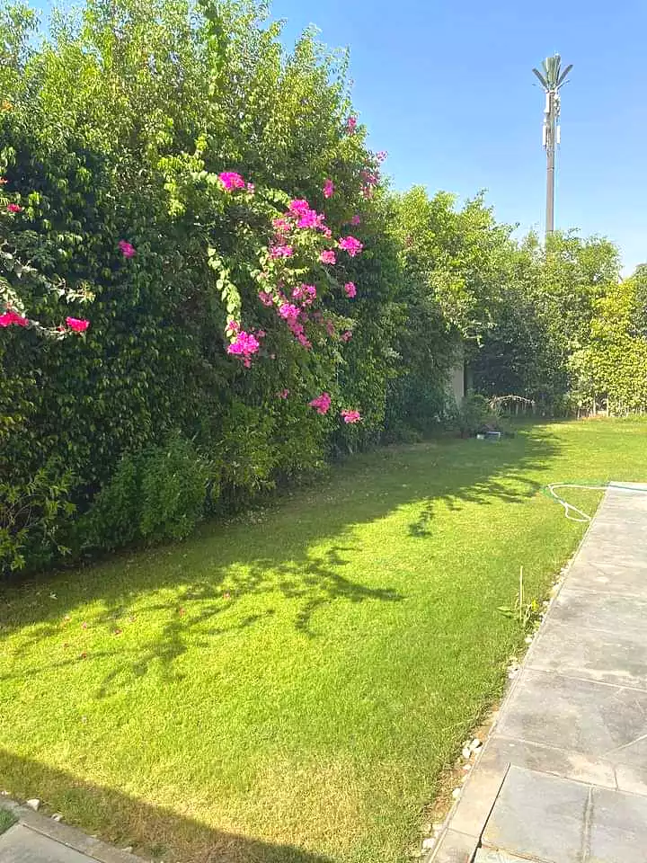 https://aqarmap.com.eg/en/listing/6955253-for-sale-cairo-new-cairo-madinaty-lmntq-lthlthh-fylt-group-25