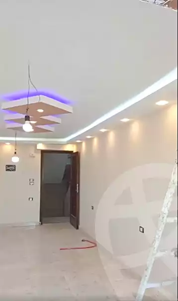 https://aqarmap.com.eg/en/listing/6956352-for-sale-cairo-ain-shams-mnshy-lthryr