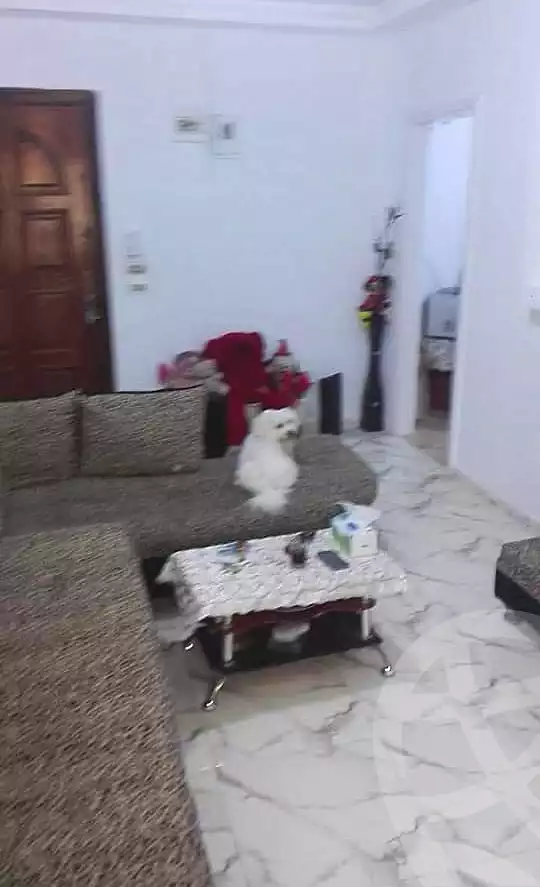 https://aqarmap.com.eg/ar/listing/6959449-for-sale-alexandria-al-agamy-lbytsh-el-hanafeya-st