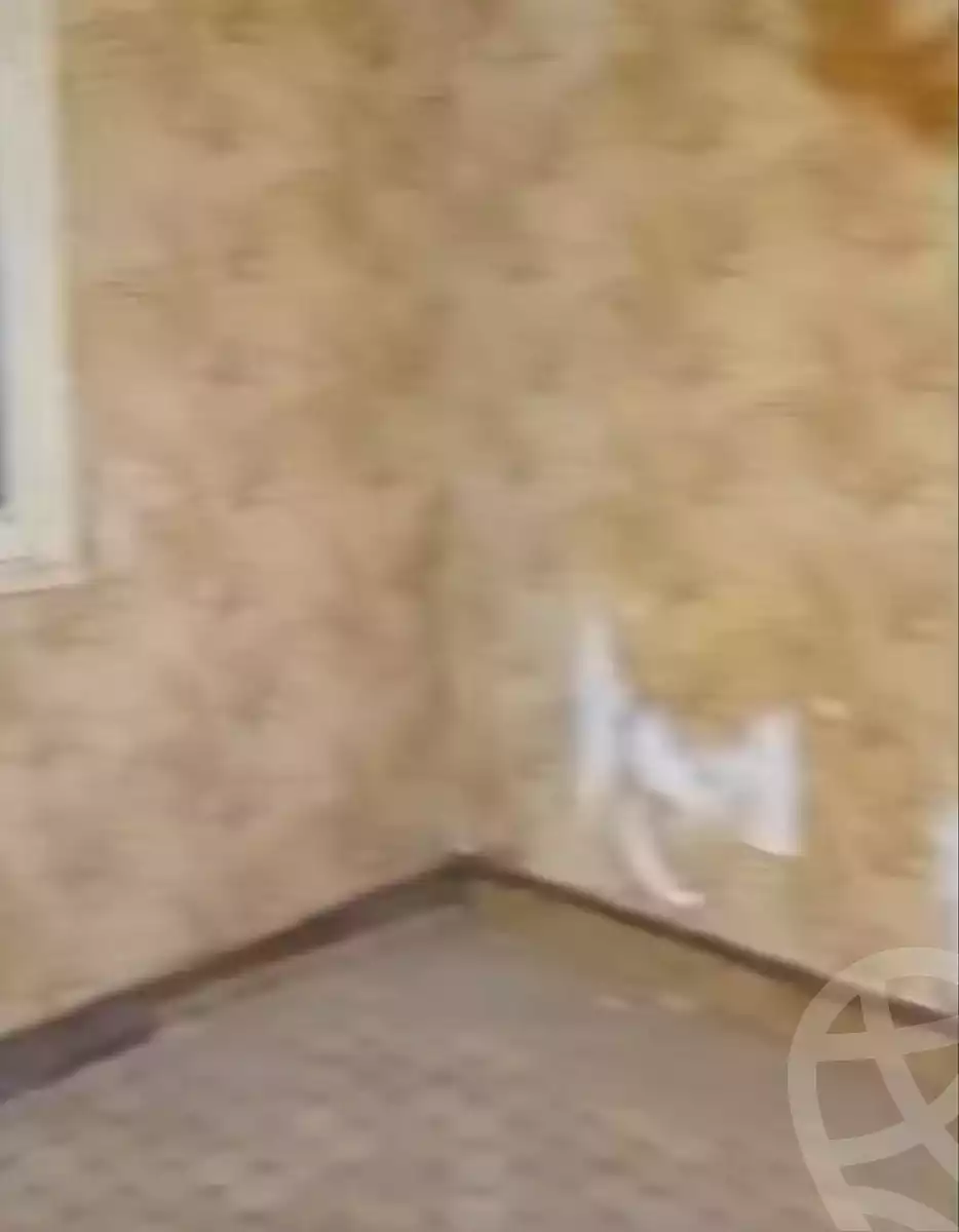 https://aqarmap.com.eg/en/listing/6960031-for-sale-cairo-ain-shams-mnshy-lthryr