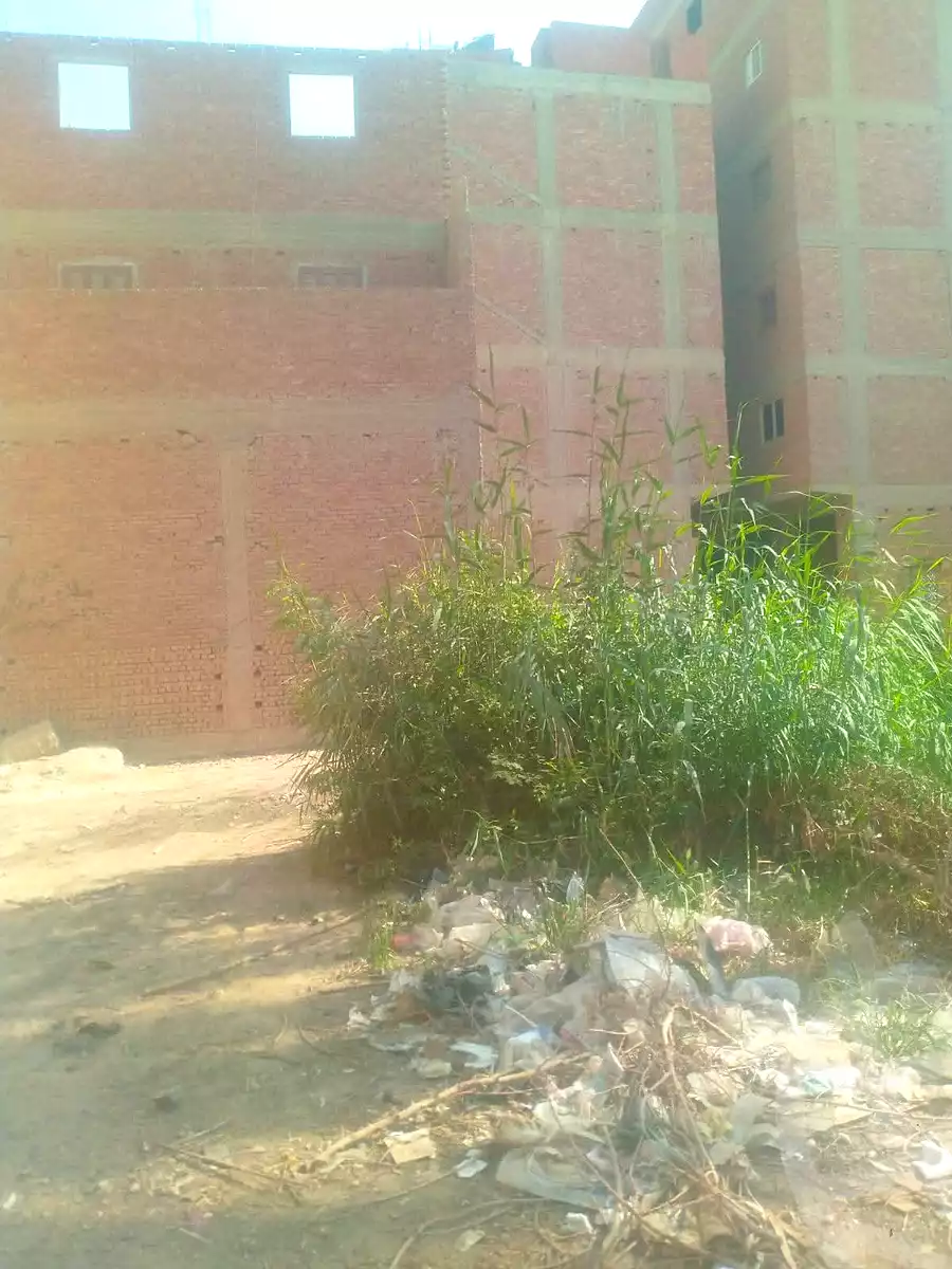 https://aqarmap.com.eg/ar/listing/6960564-for-sale-cairo-helwan
