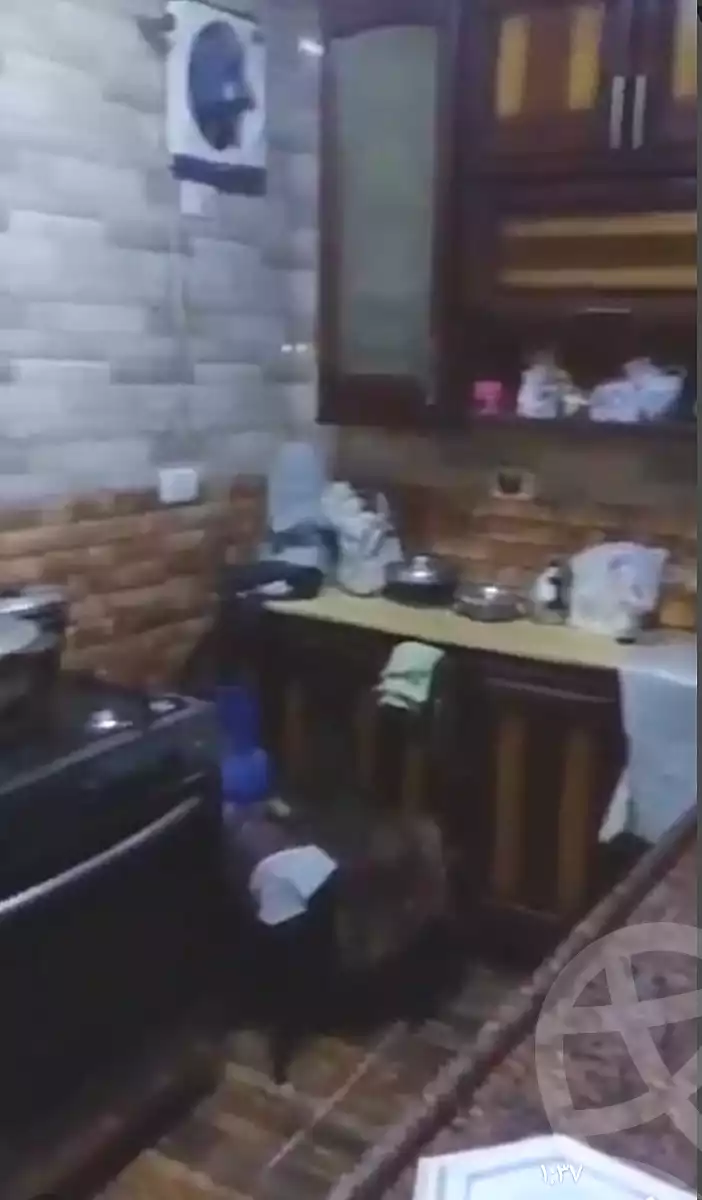 https://aqarmap.com.eg/en/listing/6960712-for-sale-cairo-faisal