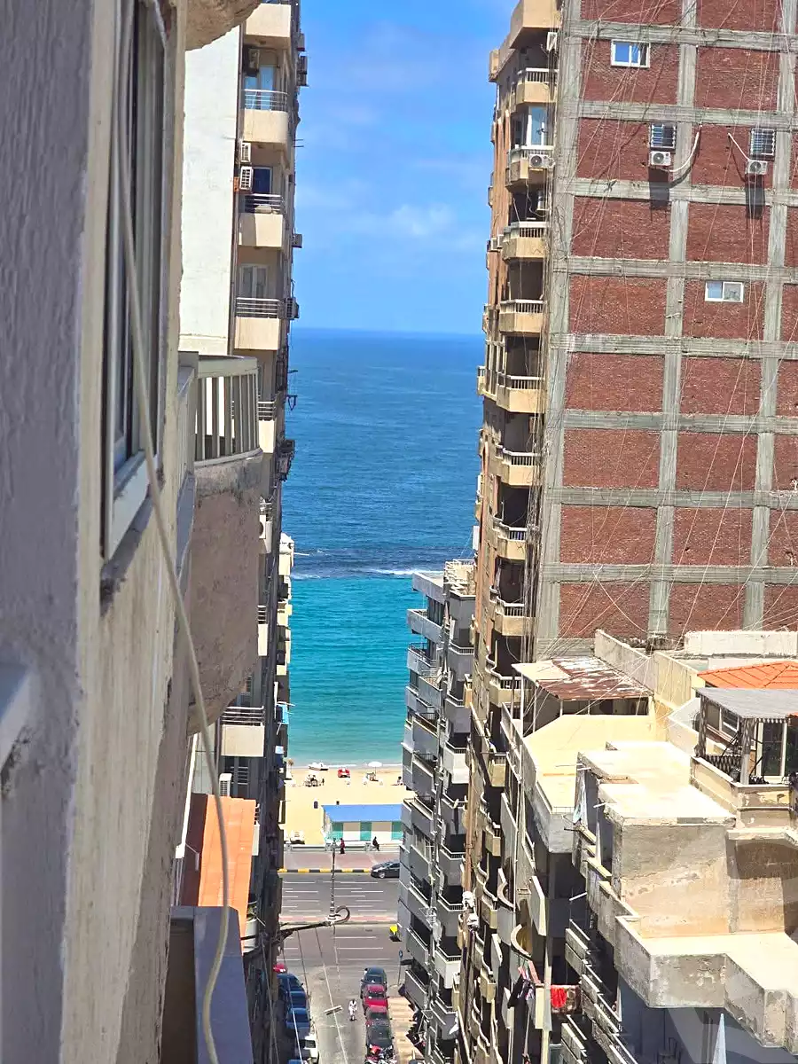 https://aqarmap.com.eg/en/listing/6962403-for-sale-alexandria-el-asafra-hasan-kamel-st