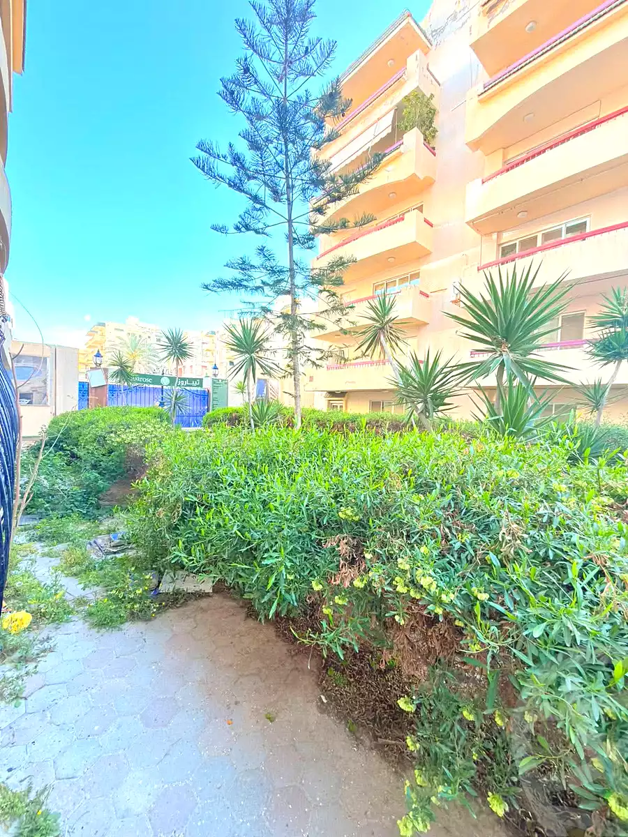 https://aqarmap.com.eg/ar/listing/6962855-for-sale-alexandria-al-agamy-shataa-el-nakheel