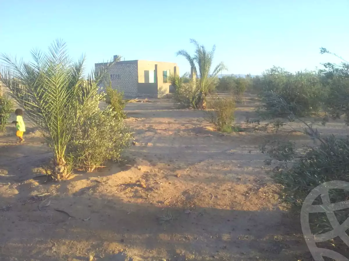 https://aqarmap.com.eg/en/listing/6963400-for-sale-suez-el-ganain-shandoura-village
