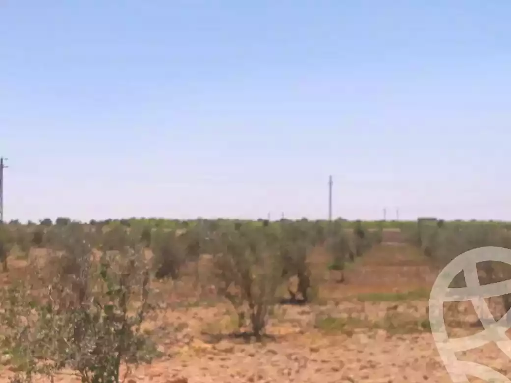 https://aqarmap.com.eg/en/listing/6969472-for-sale-cairo-el-sheikh-zayed-city-alex-cairo-desert-road-kmbwnd-fy-tryq-skndry-lshrwy