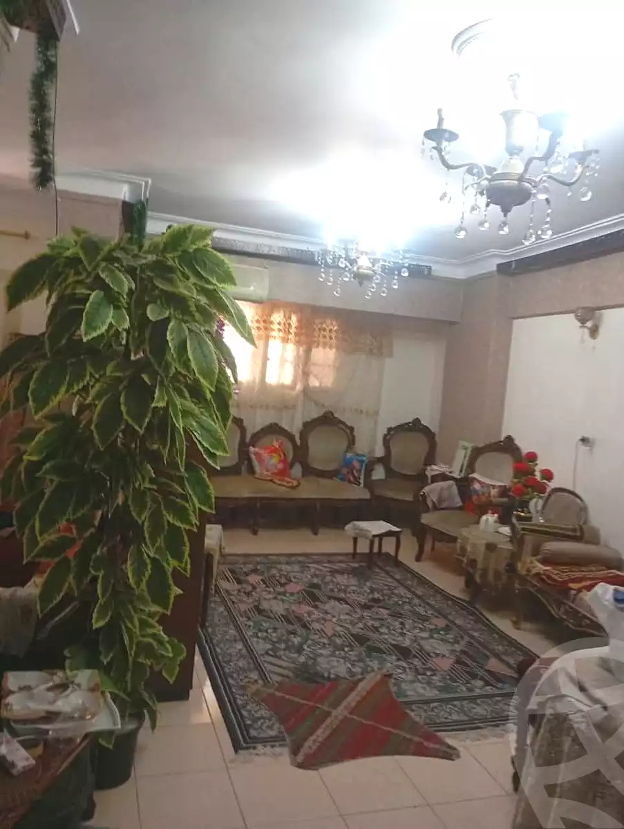 https://aqarmap.com.eg/ar/listing/6970705-for-sale-alexandria-sydy-bshr-sydy-bshr-bhry-el-amgad-st