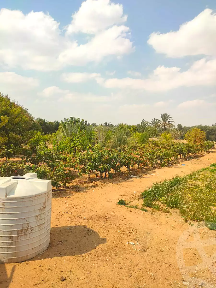 https://aqarmap.com.eg/en/listing/6971051-for-sale-cairo-al-oubour-jm-y-rby-kht-4-shml