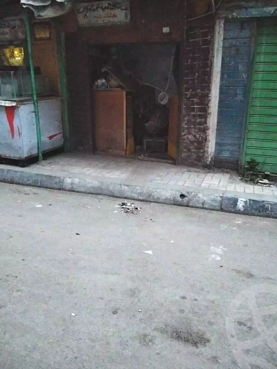 https://aqarmap.com.eg/en/listing/6973485-for-rent-alexandria-bakoos