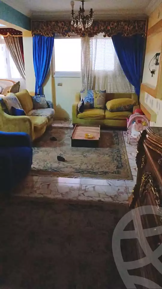 https://aqarmap.com.eg/en/listing/6974105-for-sale-alexandria-al-agamy-lbytsh-qased-kareem-st