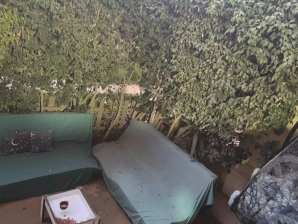 https://aqarmap.com.eg/ar/listing/6975066-for-sale-cairo-new-cairo-madinaty-first-zone-buildings-madinaty-road
