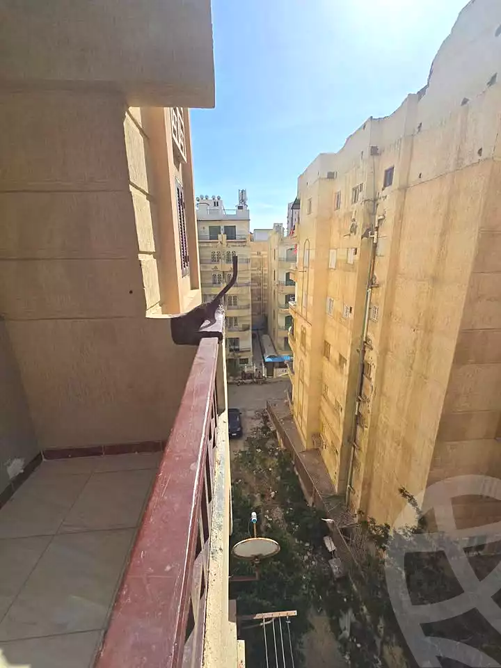 https://aqarmap.com.eg/ar/listing/6977402-for-sale-alexandria-al-agamy-shataa-el-nakheel