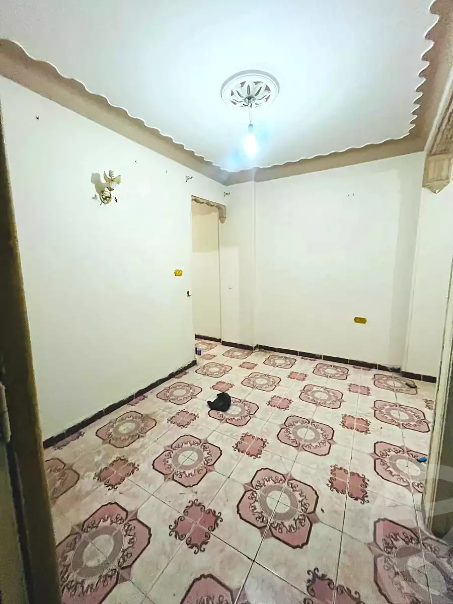 https://aqarmap.com.eg/en/listing/6977999-for-sale-alexandria-lsywf-el-falki