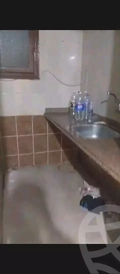 https://aqarmap.com.eg/en/listing/6978391-for-rent-alexandria-sydy-bshr-sydy-bshr-bhry
