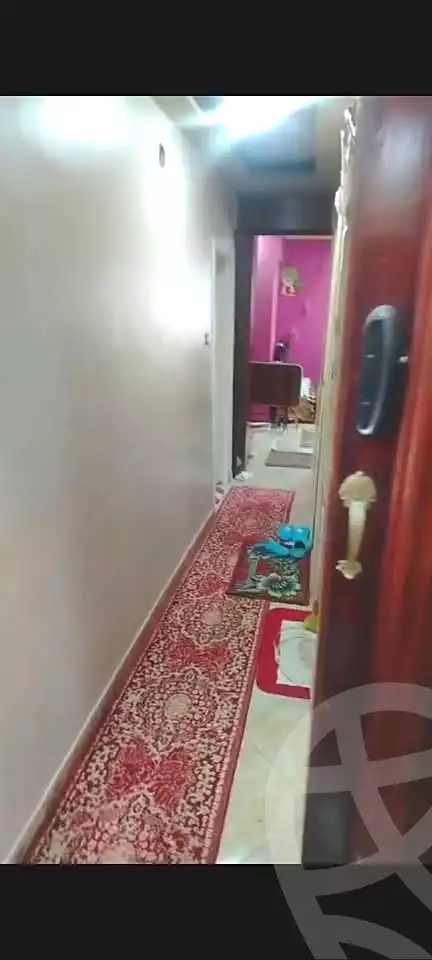 https://aqarmap.com.eg/en/listing/6978850-for-sale-alexandria-al-agamy-lbytsh-el-bostan-st