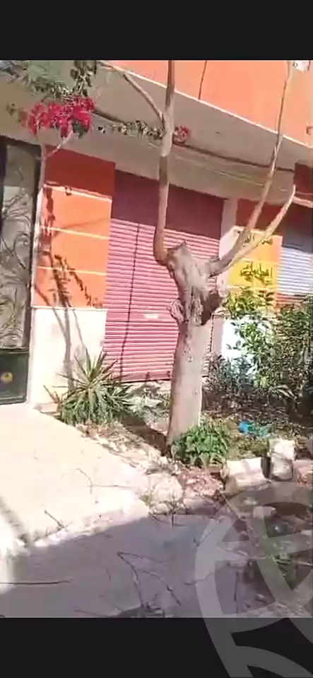 https://aqarmap.com.eg/ar/listing/6980135-for-sale-alexandria-al-agamy-shataa-el-nakheel