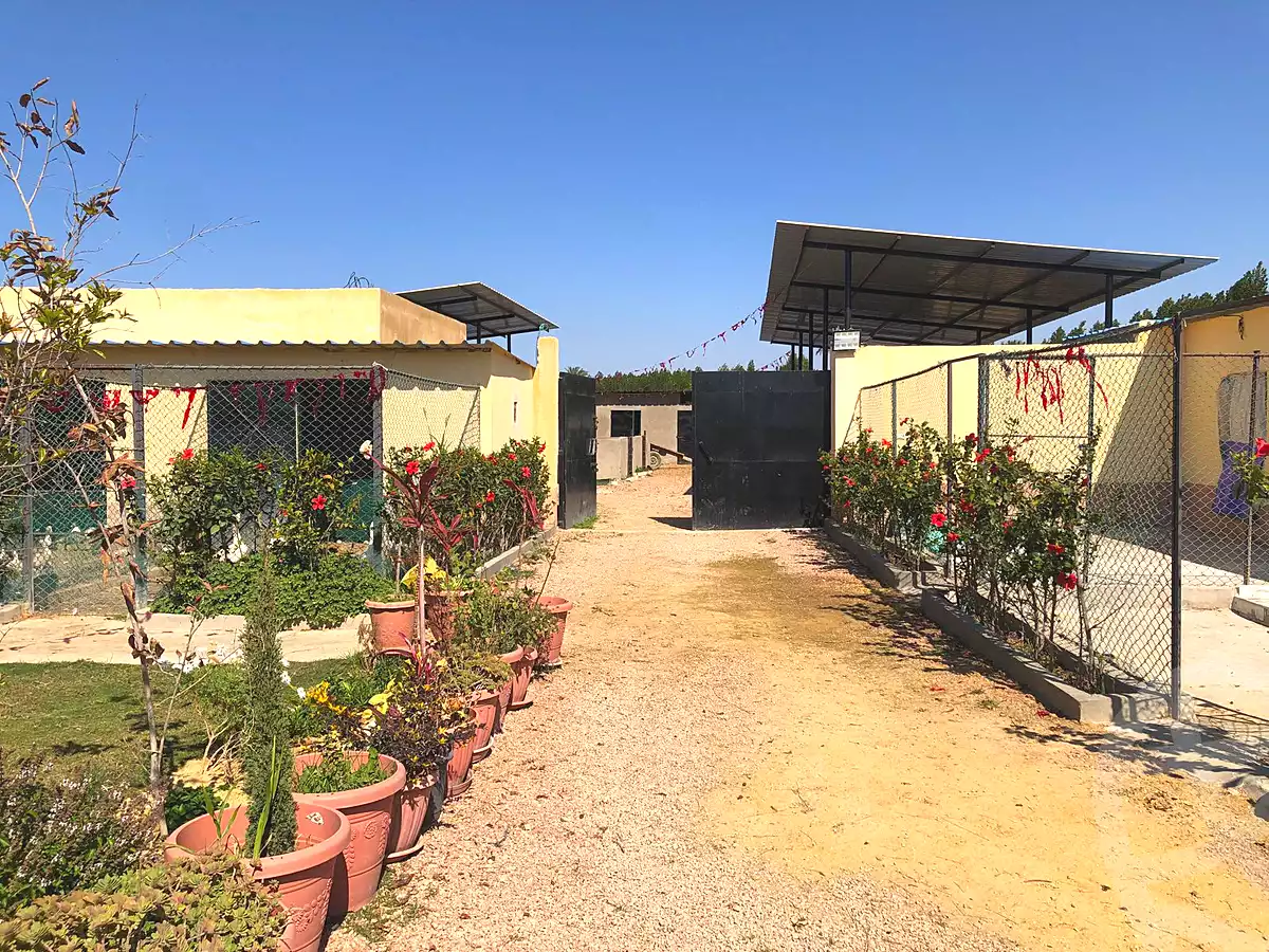 https://aqarmap.com.eg/ar/listing/6987017-for-sale-alexandria-borg-el-arab-el-zohour-st