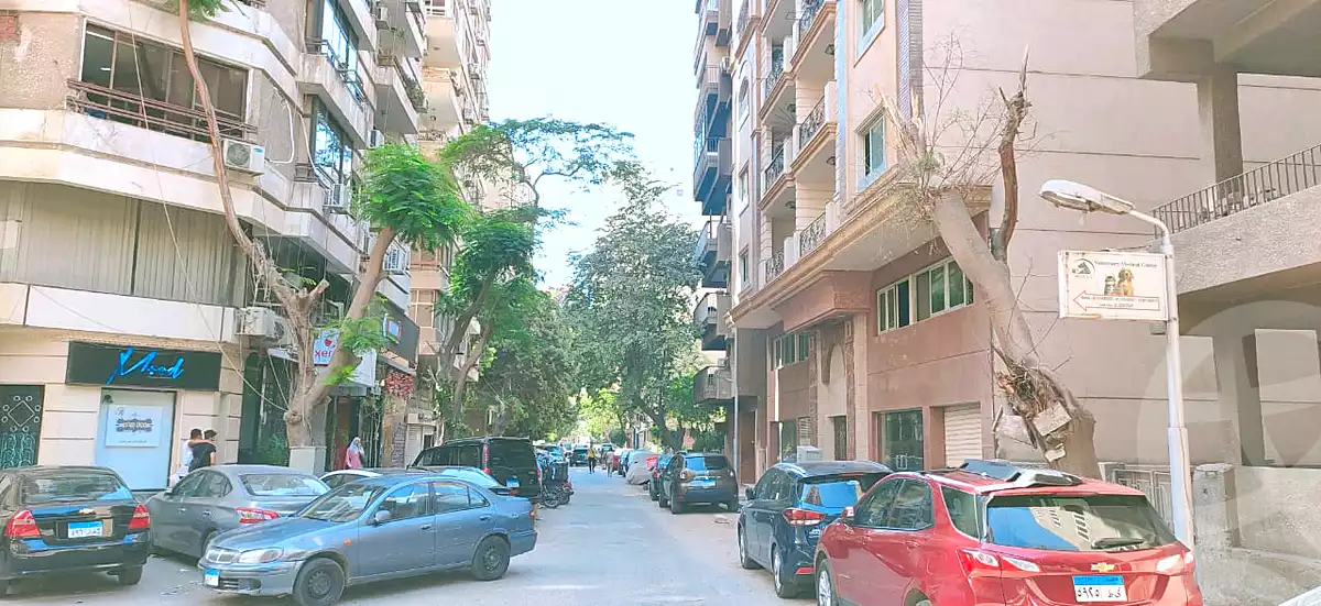 https://aqarmap.com.eg/en/listing/6987177-for-sale-cairo-dokki-mohey-el-din-abo-el-ezz