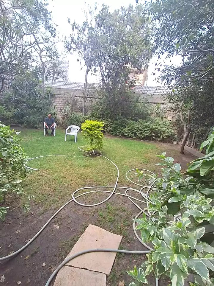 https://aqarmap.com.eg/en/listing/6987376-for-sale-alexandria-al-agamy-lbytsh-al-aeda-al-kadema-st