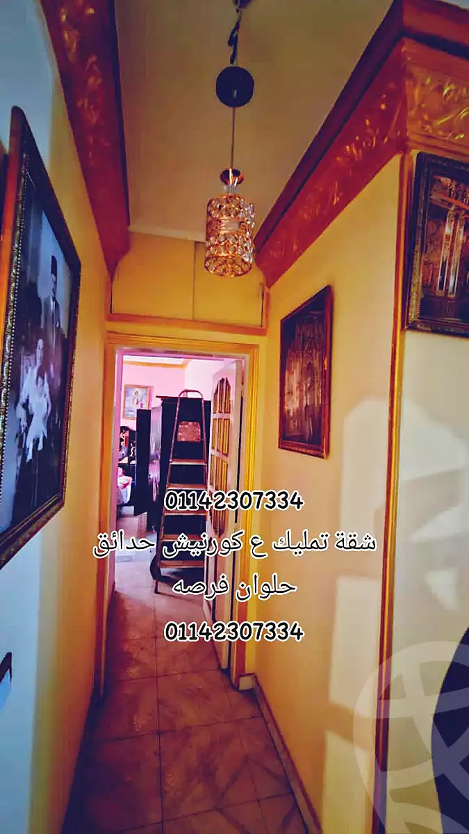 https://aqarmap.com.eg/en/listing/6987479-for-sale-cairo-helwan-hadayek-helwan-nile-corniche-st